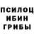 Псилоцибиновые грибы ЛСД Den Novik