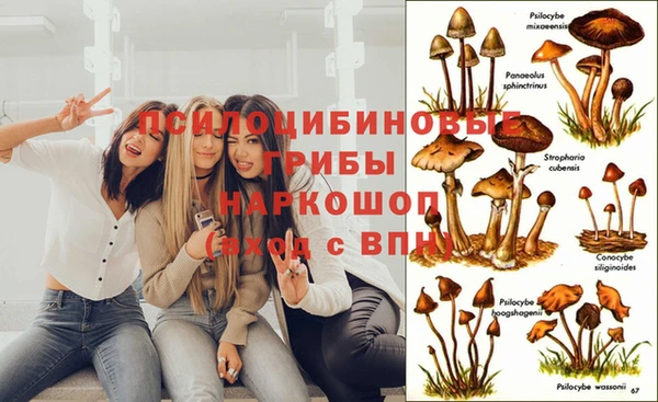 дживик Няндома