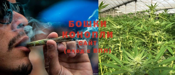 молекула духа Новозыбков