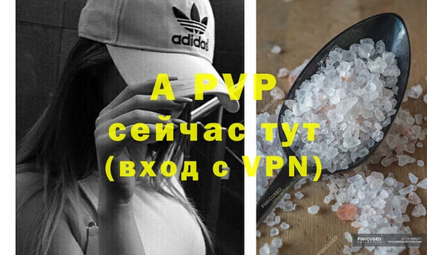 дживик Няндома